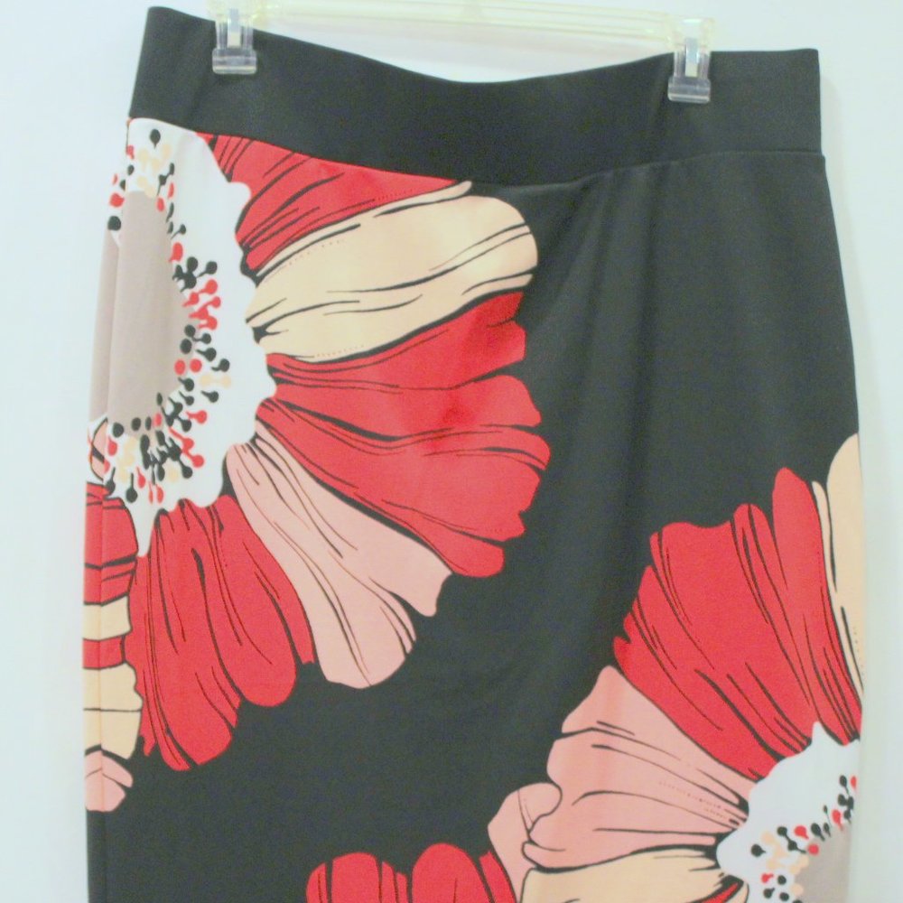 Alfani Skirt, 20W